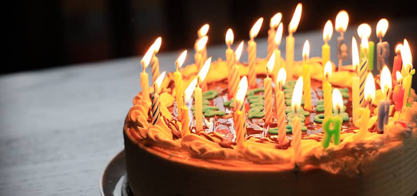 Birthday Cake Shop | Giga Store